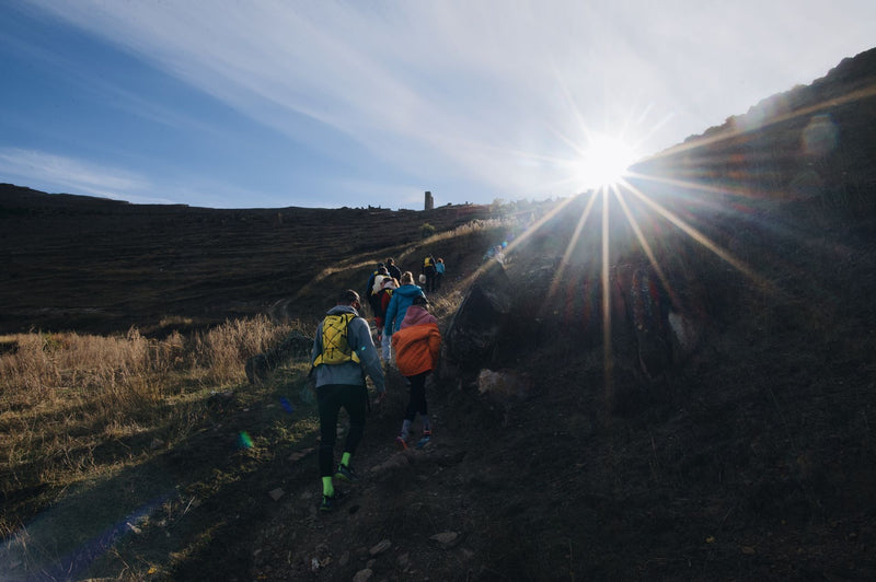 Hikers with backpacks climbing a sunlit mountain trail